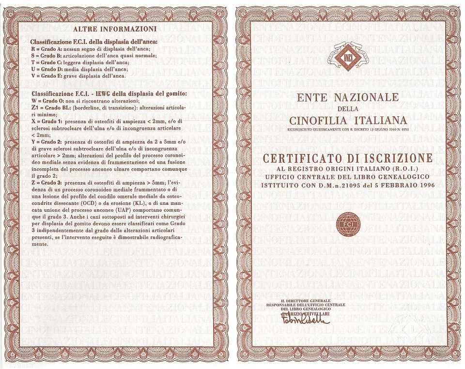 Certificato di iscrizione al Registro Origini Italiano dell’ENCI