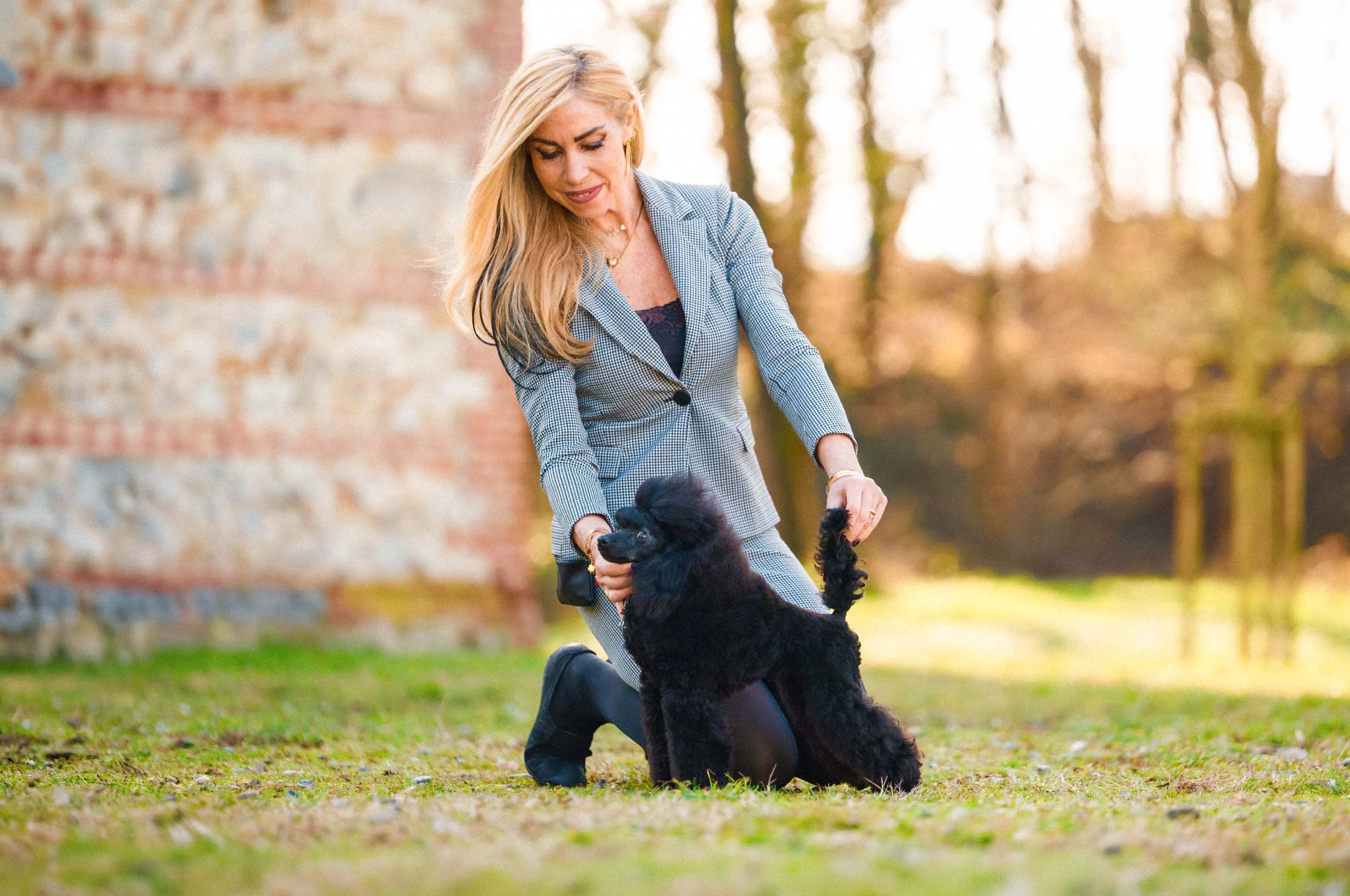 Black Poodle in a show stance with its handler on the lawn